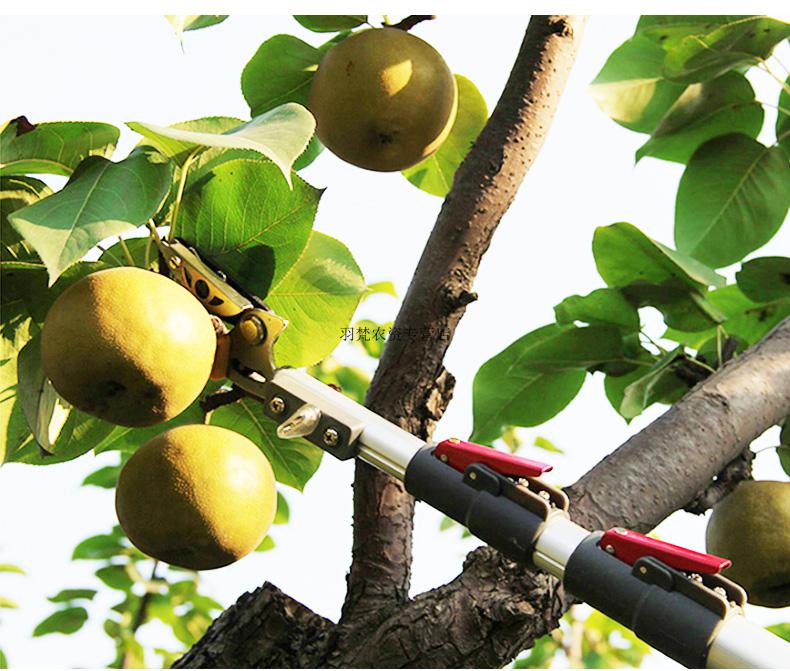 伸缩摘果器高空采水果高枝剪锯摘枇杷神器高空剪荔枝剪树枝剪剪刀单个