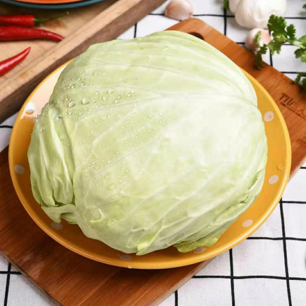 新鲜包菜卷心菜莲花白绿色甘蓝蔬菜当季牛心包包菜现摘3斤10斤5斤包菜