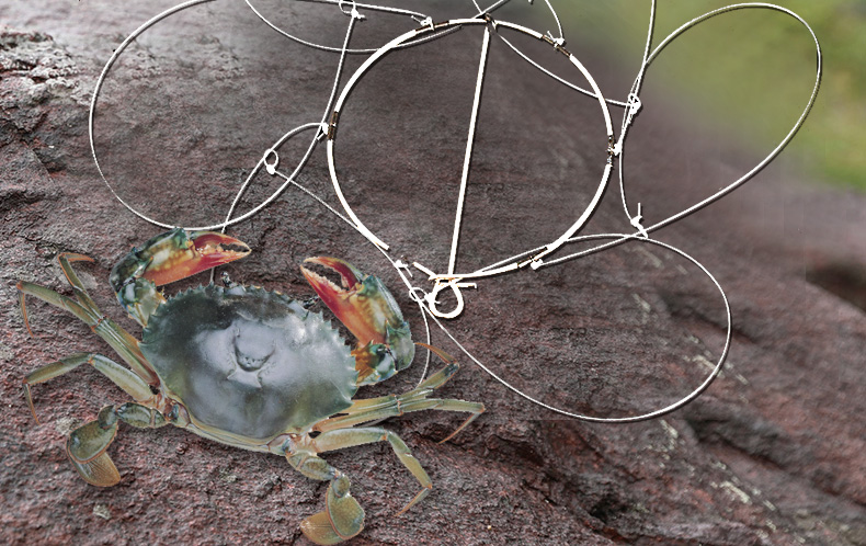 6个圈 钓螃蟹工具螃蟹套螃蟹箍螃蟹钩钓螃蟹圈螃蟹套蟹箍 6个圈 螃蟹