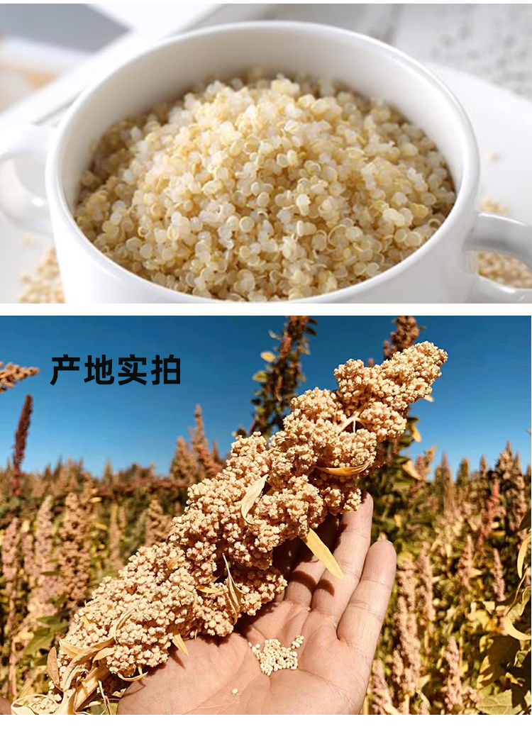 白黎麦无添加藜麦米幼儿宝宝孕妇月子真空包装杂粮饱腹 500克【真空