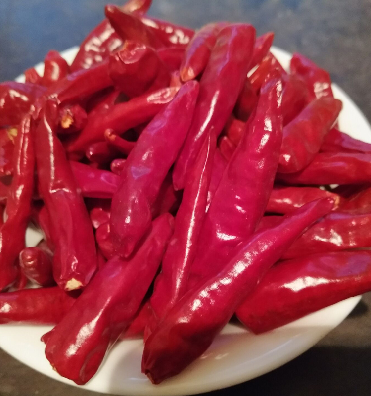 新一代2020干辣椒正宗内黄新一代农家辣椒特辣特香锅辣椒500g