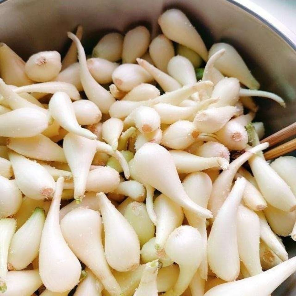 广西特产酸辣荞头酸甜爽口孕妇零食配菜新鲜蒜头腌制批发鱼生配料酸甜