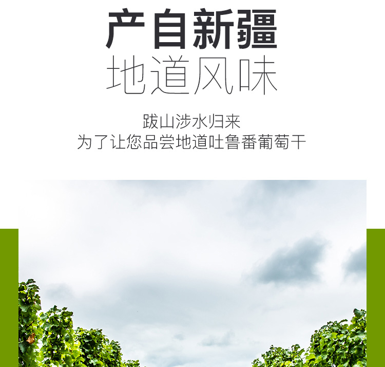 Members Mark 精选绿香妃葡萄干 680g