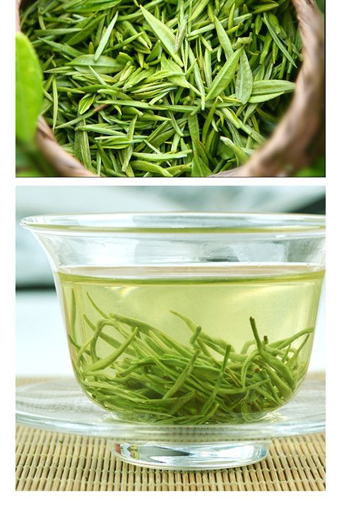 橙伯乐2022年贵州梵净山绿茶印江贡茶耐泡特级茶叶袋装250克 500g两