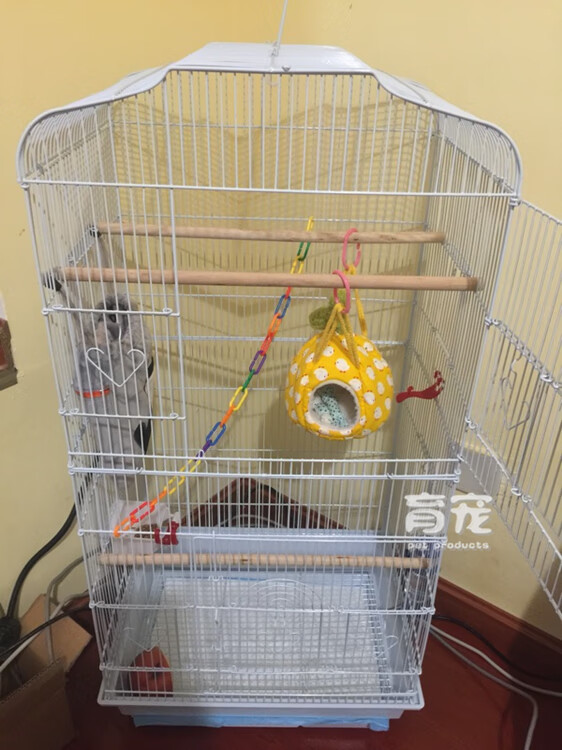 蜜袋鼯笼子松鼠鼠飞鼠龙猫用品笼具夏季清凉降温透气蜜袋鼬鼠 非你莫