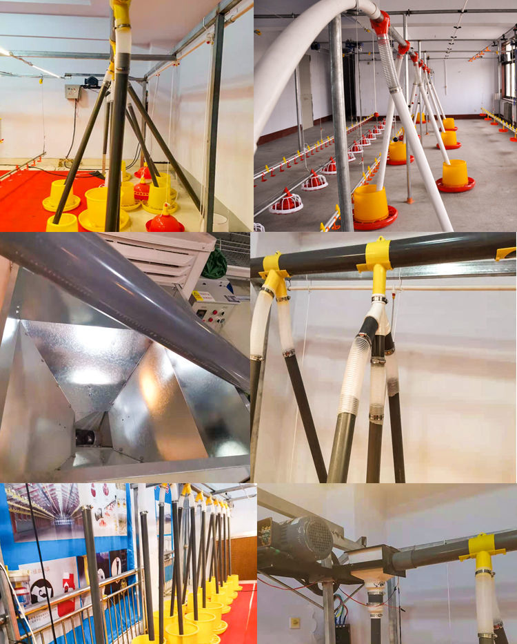 欧缔兰养鸡场自动上料机鸭用饲料投料机养殖场全套分叉式喂料机水线