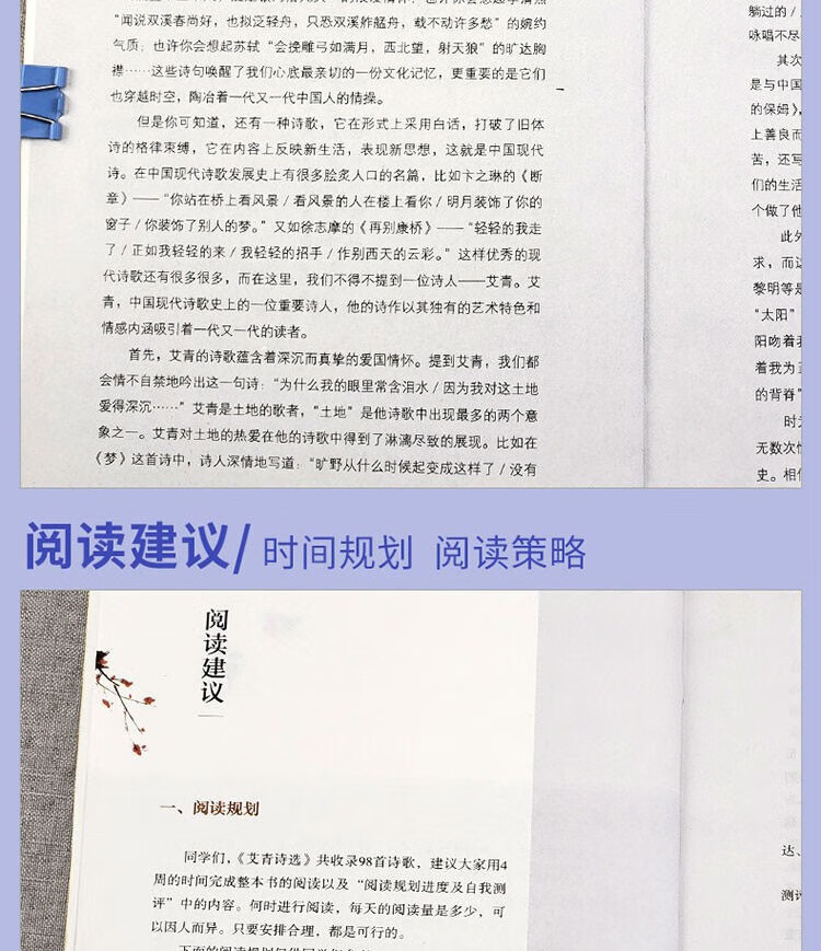 ab9ed59049898ee2.jpg