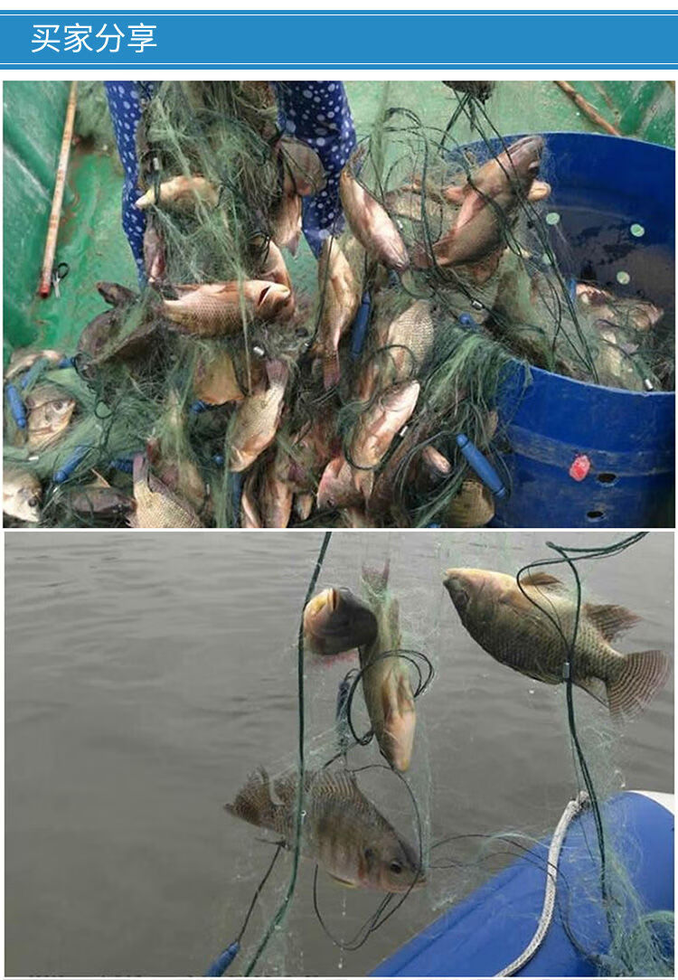 三层渔网15米2米3米高加粗沉网挂网捕鱼网鲫鱼网丝网绿丝三层沉网2