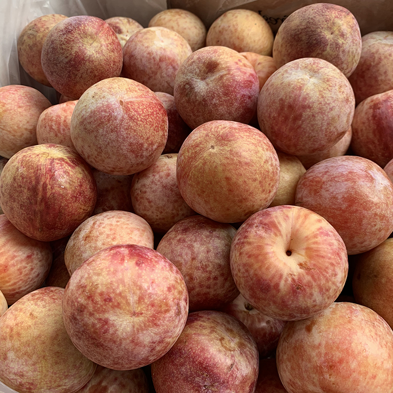 智利进口血丝李恐龙蛋水果雪花李凤凰李新鲜李子蜥蜴蛋鳄鱼蛋血丝李