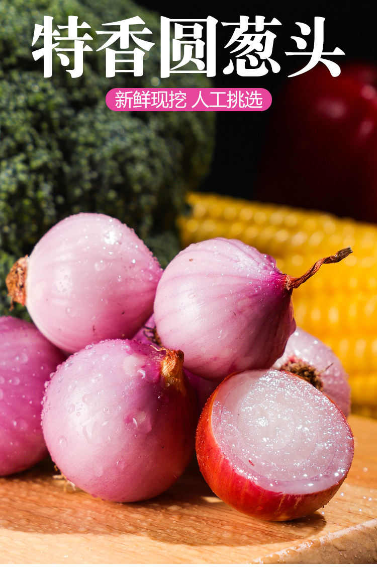 唯友圆葱小洋葱单粒红葱头干迷你圆葱小洋葱东北毛葱2000g