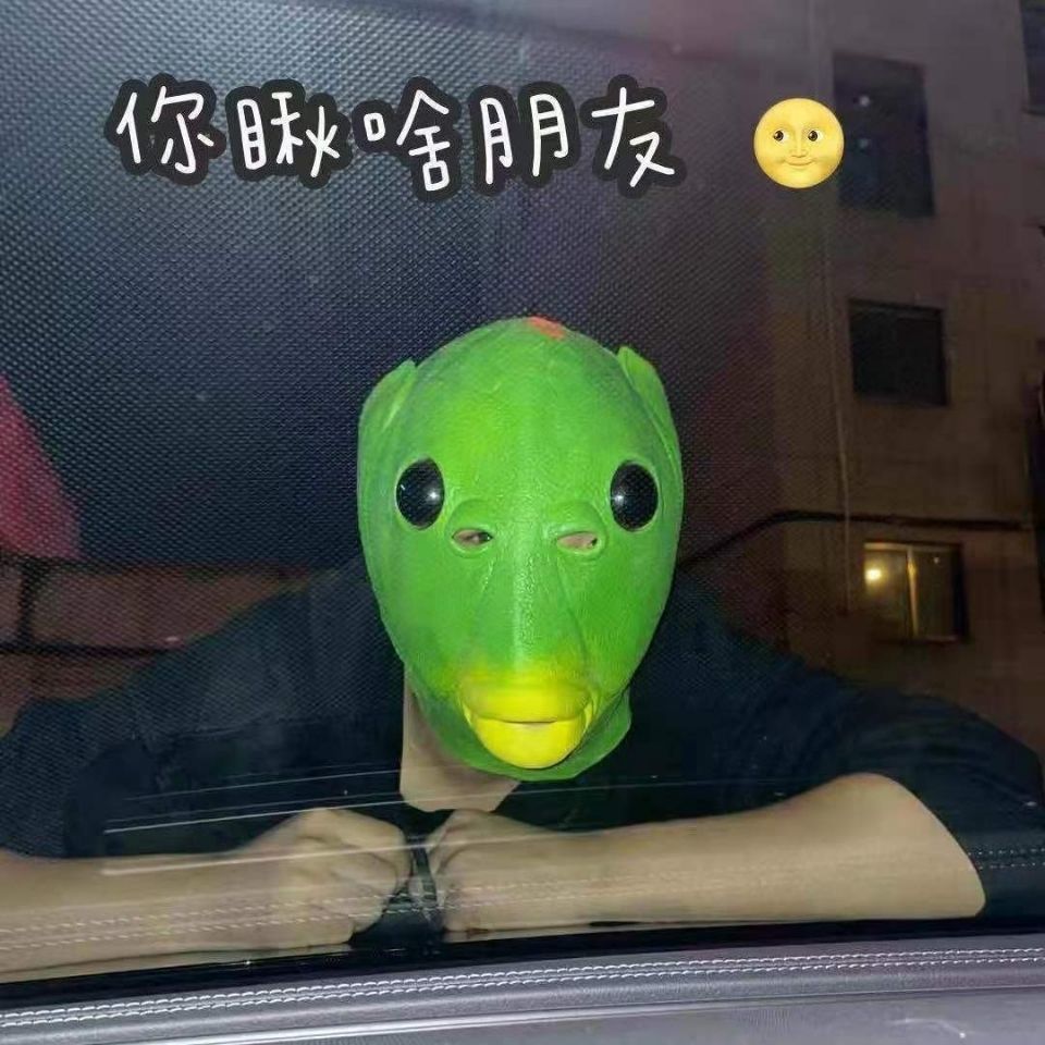 抖音绿头鱼头套面具可爱搞怪沙雕抖音绿头鱼头套面具可爱搞怪搞笑沙雕