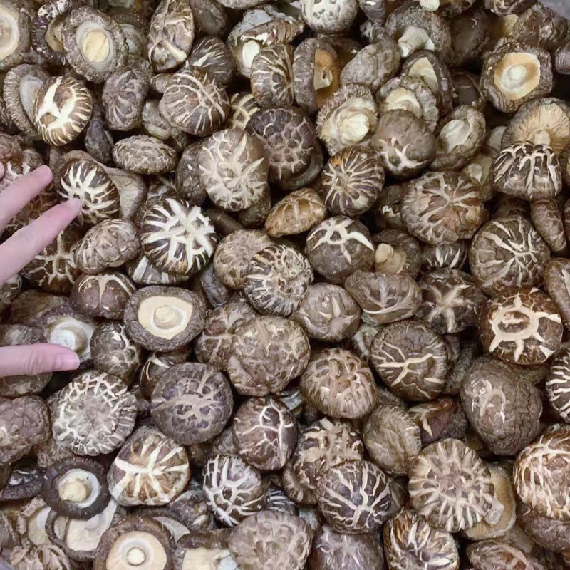 粽子材料花菇新鲜干货500克 一斤自产干花茹 干香菇 蘑菇 250g【图片