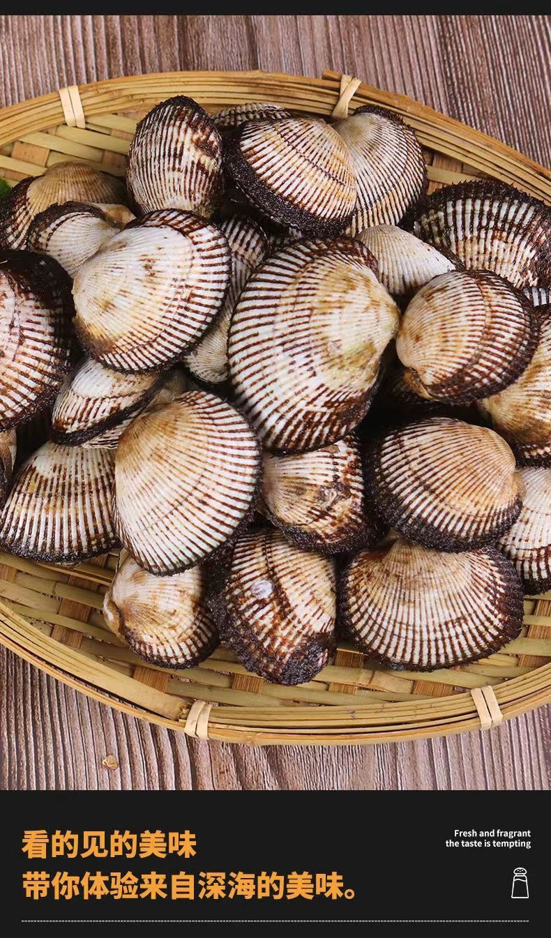 毛蛤蜊鲜活新鲜毛蚶海鲜贝类赤贝血蛤血蚶毛哈鲜活海鲜批发福茹洲3斤