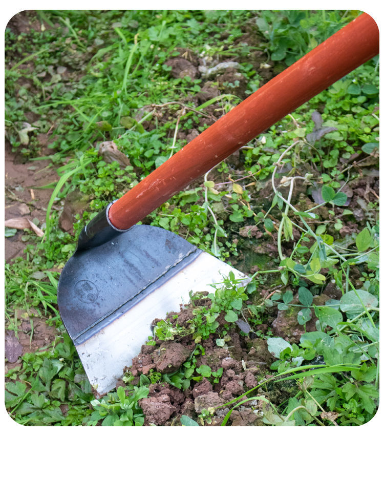 农用锄草神器除草专用农具搂草松土铲草工具锄地锄头挖土种菜两用 驰