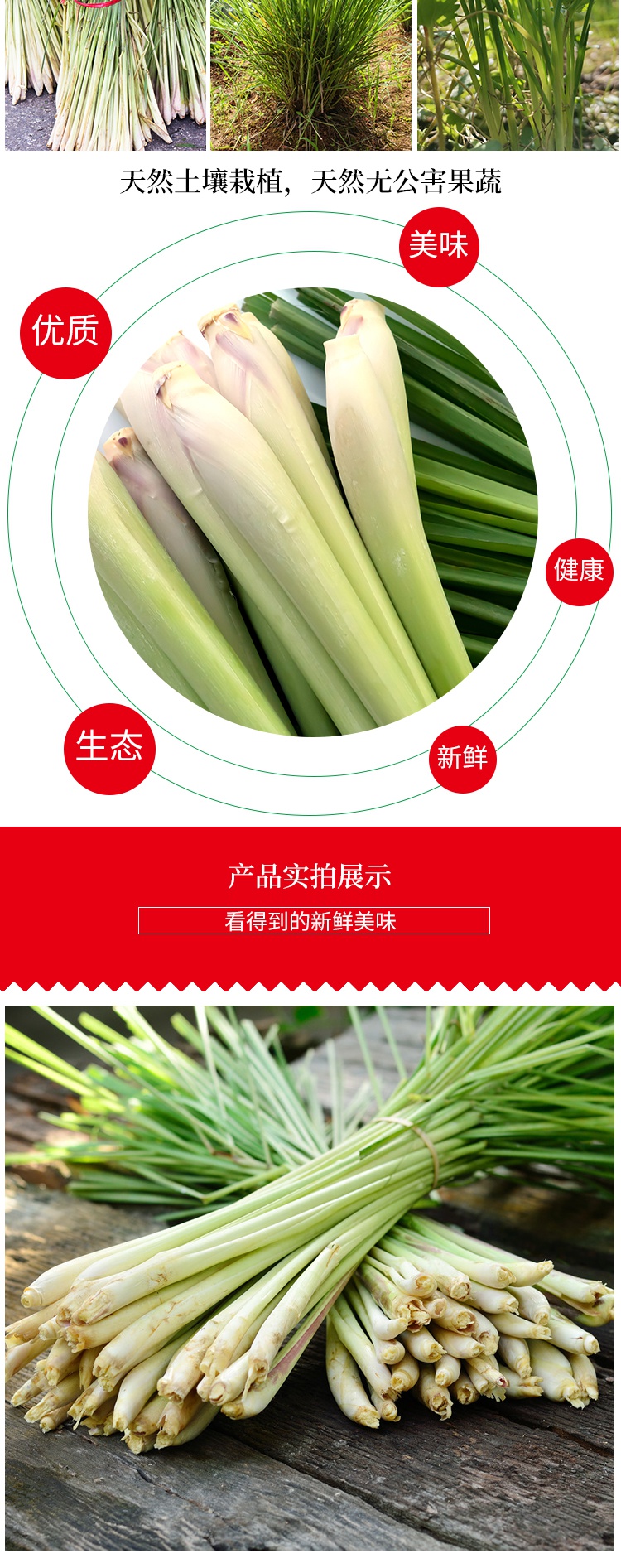 新鲜香茅草柠檬香茅500g奶茶店调料香料泰国冬阴功汤料柠檬草1000g