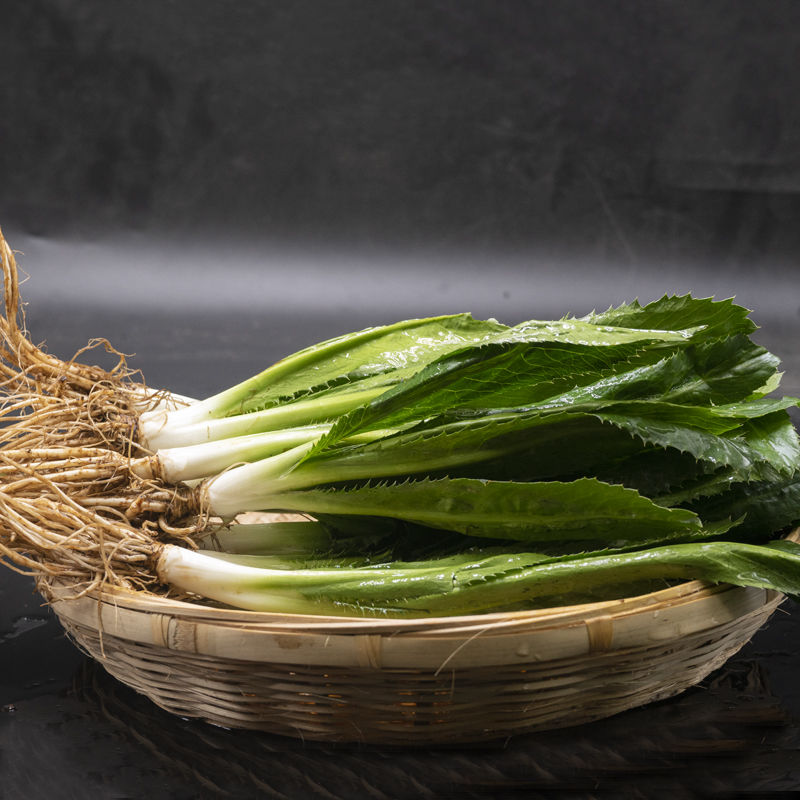 芫荽大香菜刺芹刺洋芫荽可种植现挖傣味 新鲜大芫荽半斤(不带根发货)