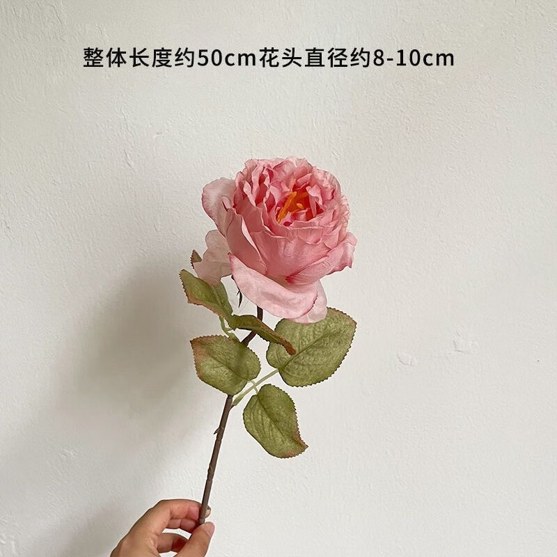 cac7dae3-1ef1-43e7-a666-ffe2c51487c4.jpe