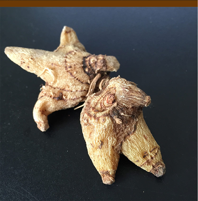 伟博 白芨整个白及干白芨三叉白芨片野生中药材贵州白及旱白芨片 100