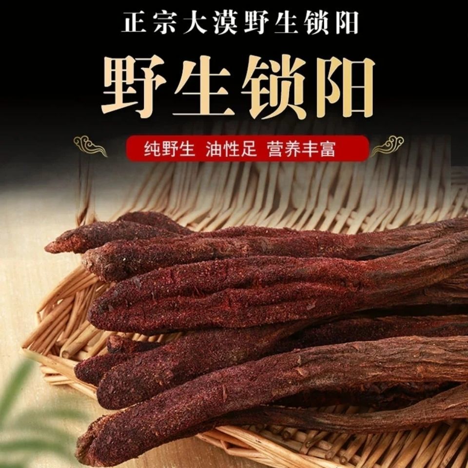 沙漠人参内蒙古锁阳野生锁阳肉苁蓉批发可切片肉众蓉泡茶泡酒滋补的中