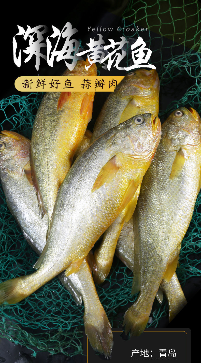 海捕青岛大黄花鱼活鱼急冻黄鱼小黄鱼肉海鲜大全水产鲜活海鱼冷冻