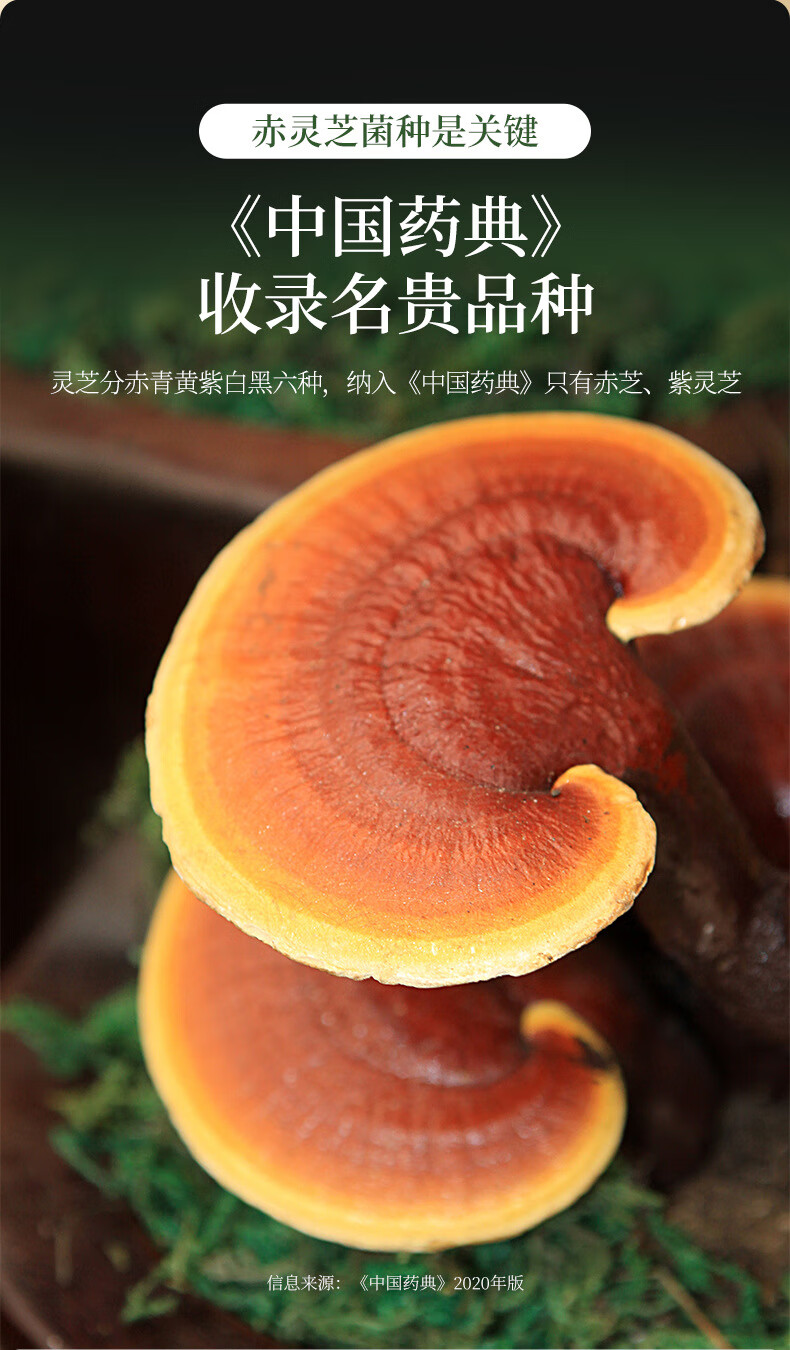 158d5560d8664a3f.jpg