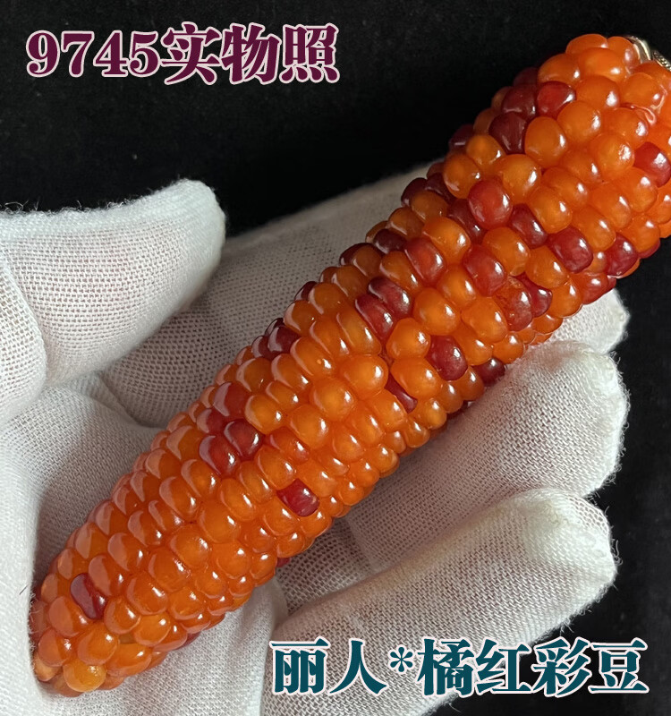 f2bdd6e60826ba9f.jpg