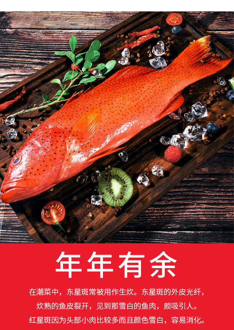 深海燕尾东星斑500600g石斑鱼深海鲜活速冻新鲜国产海鲜水产店长1斤一