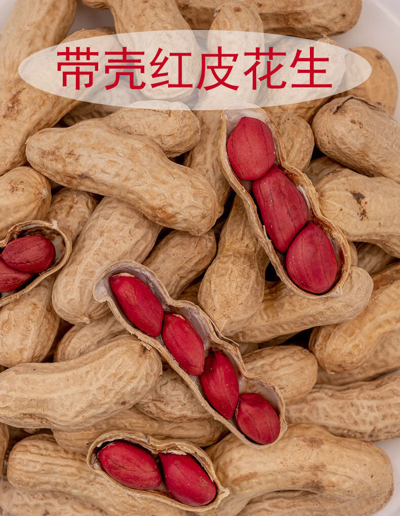 零食新货新鲜带壳原味四粒红衣红皮花生炒熟炒熟四粒原味红壳花生2斤