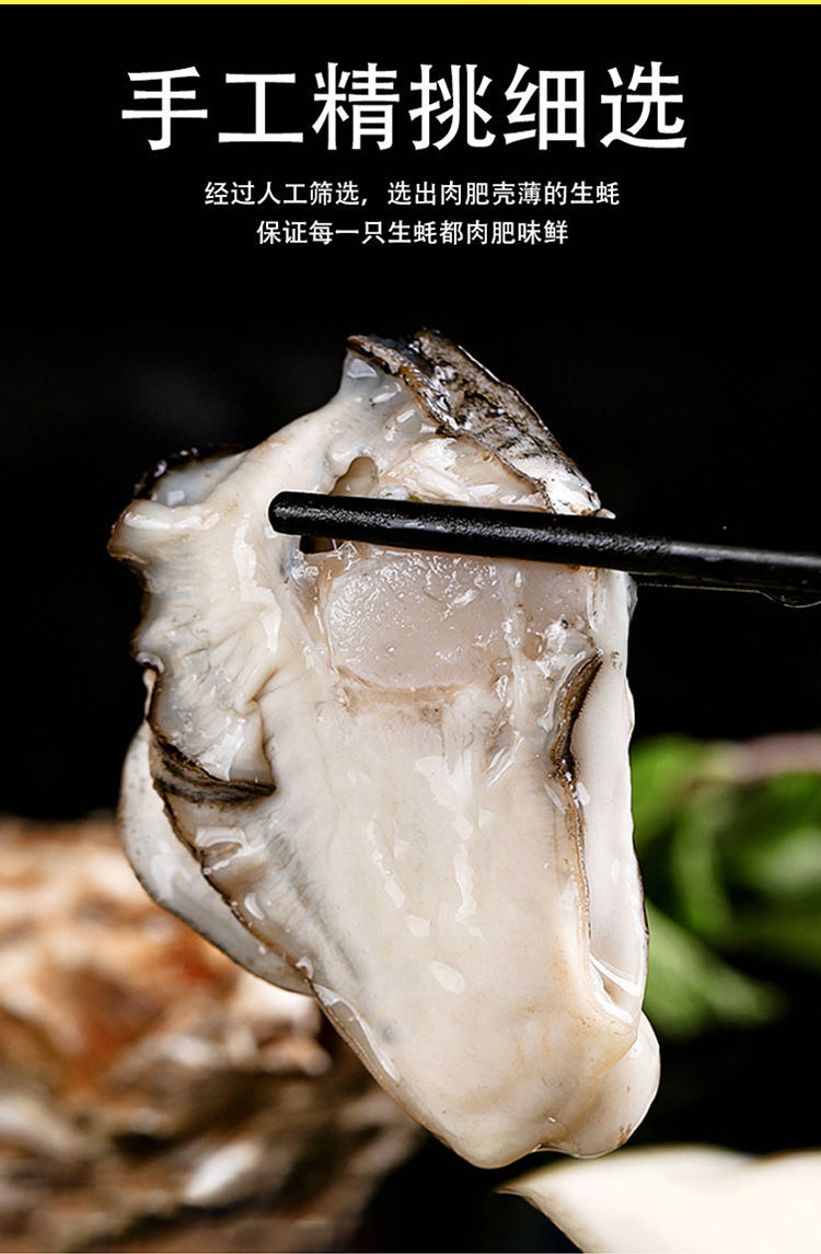 大号生蚝牡蛎海蛎子肥生蚝鲜活海鲜产地顺丰直发净重5斤3040个