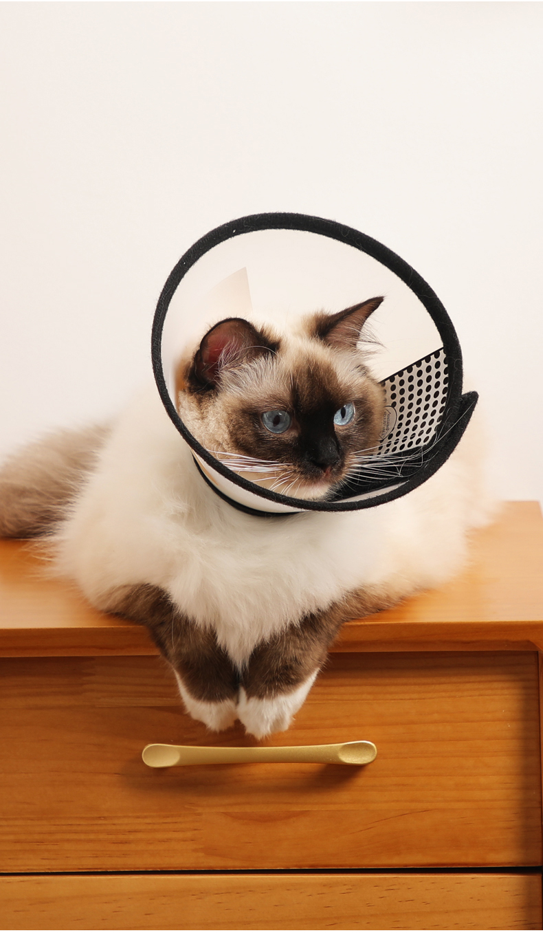 伊丽莎白圈猫咪项圈防舔除跳蚤狗狗头套大小型犬脖圈颈圈宠物用品2