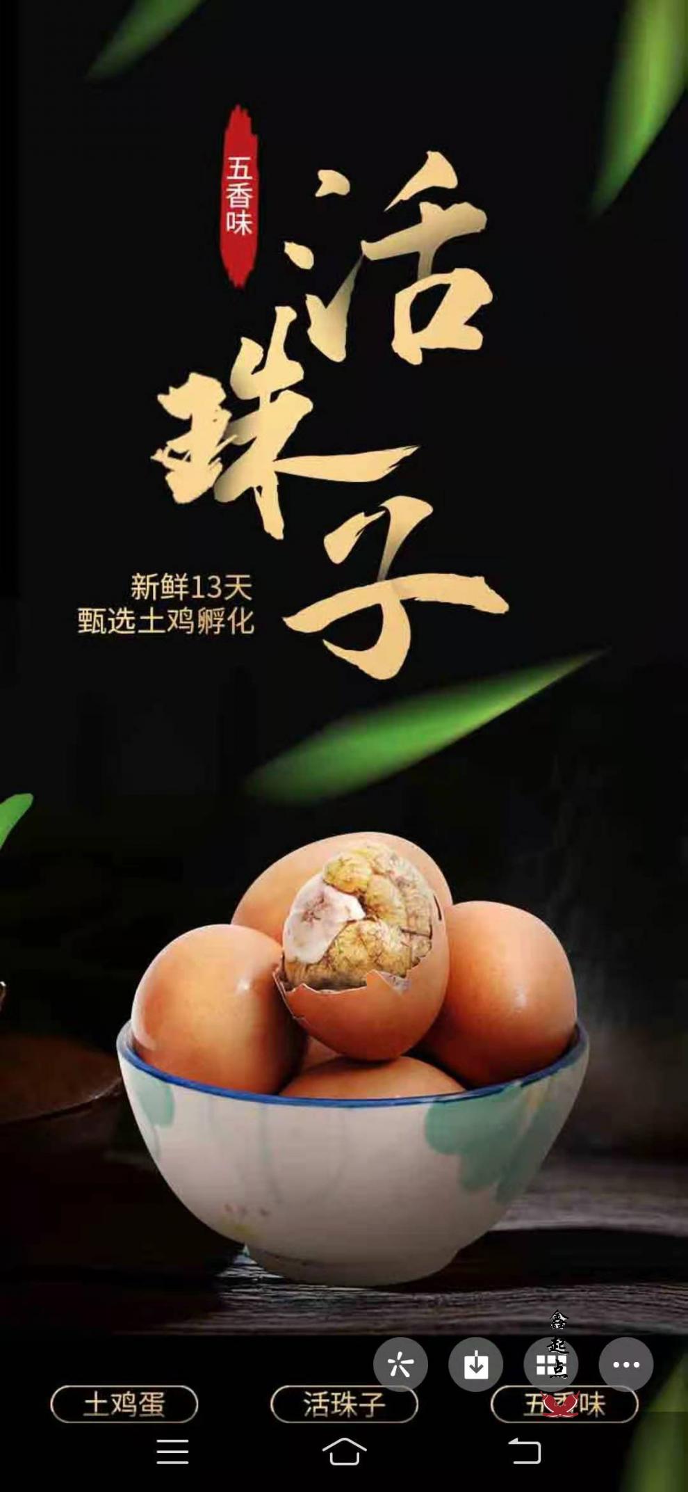 活珠子牛小犀新鲜13天五香活珠子真空独立包装即食网红鸡胚蛋20枚