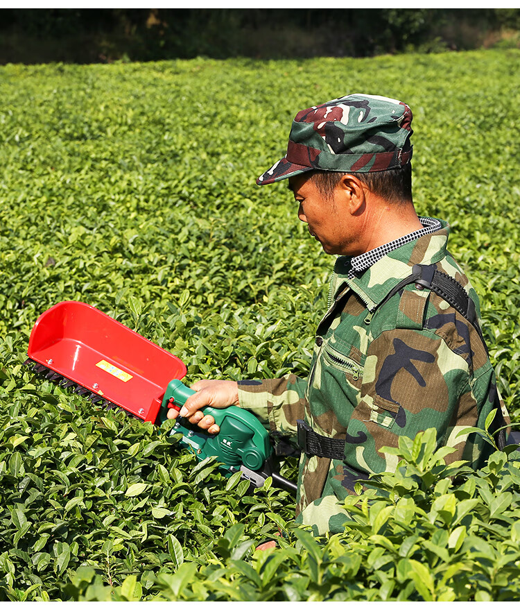 电动采茶机充电剪茶机单人小型采摘机便携式绿篱机手提茶叶修剪机