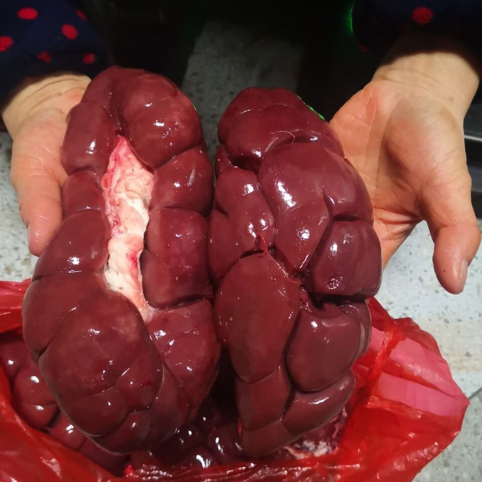 新鲜牛腰2斤 现杀现取 牛肾大腰子新鲜油包牛腰子烧烤爆炒可批发 新鲜