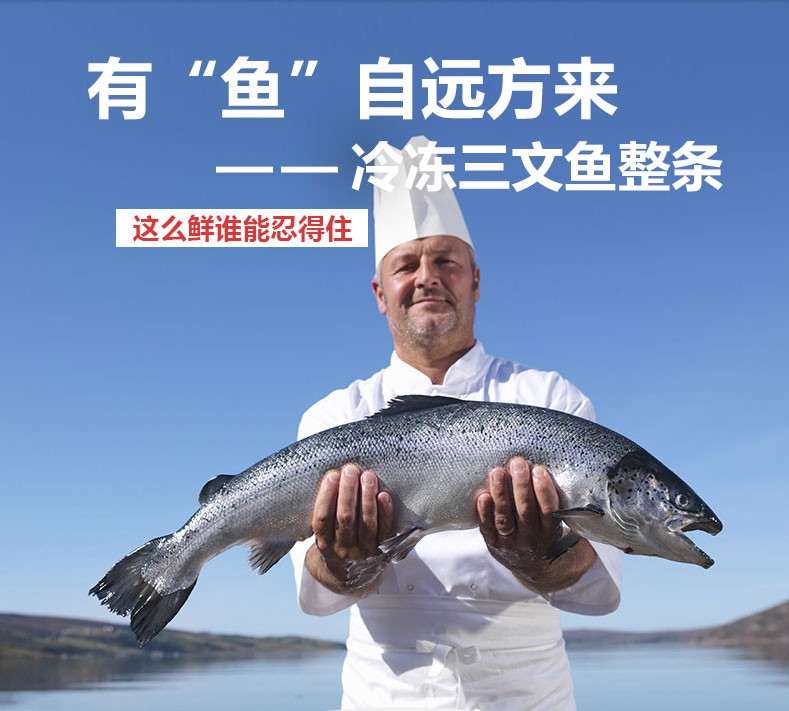 冷冻烹饪建议:刺身类别:三文鱼部位:整条货号:wrs4thdf商品产地:中国