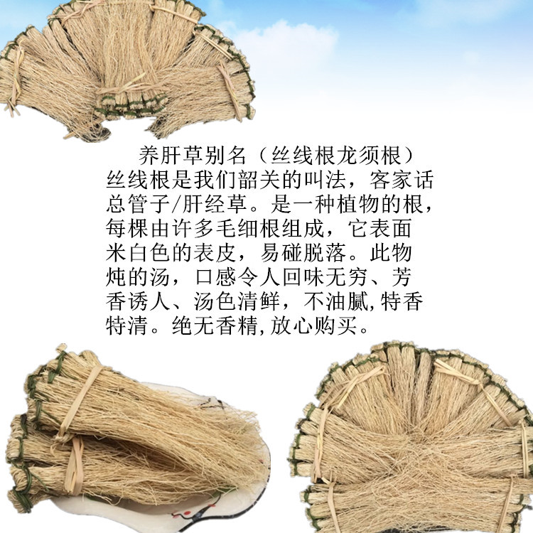 粤北特产自产自销草养肝草丝线根龙须草龙须根汤料1件10扎