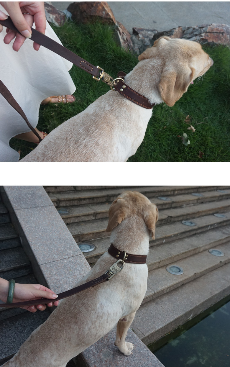 狗链子牛皮大狗狗牵引绳中型犬大型犬拉布拉多哈士奇金毛遛狗绳