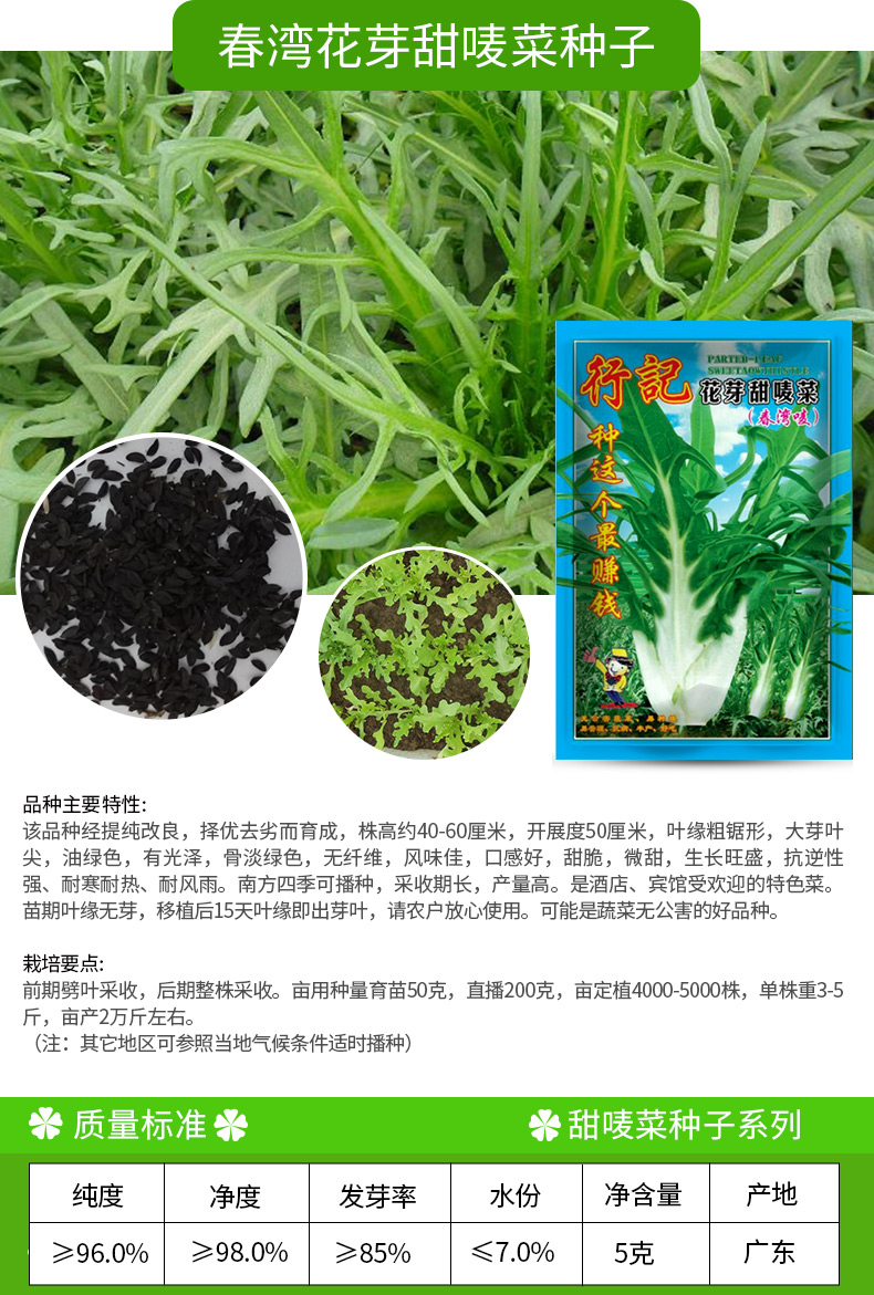 凤鸣雅世 高产甜唛菜种子菜籽甜麦菜种籽 苦麦菜种唛菜籽 正宗高州唛