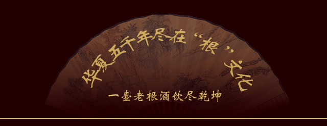 鸡公山白酒老根酒500ml高度酒水年份粮食老酒收藏送礼年货礼盒浓香型