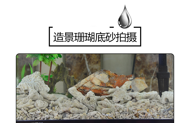 金利佳jeneca鱼缸珊瑚石造景珊瑚底砂过滤活石自然珊瑚骨滤材水族箱