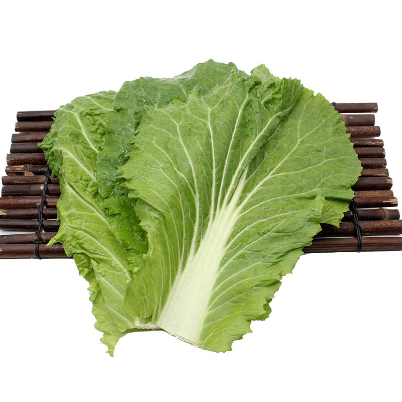 新鲜大白菜叶 东北特产饭包 饭包菜叶 包菜包饭白菜叶 蘸酱菜 20片装