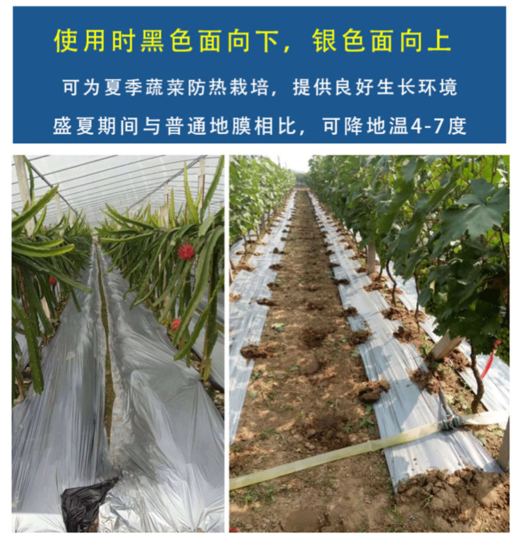 虓枭 银黑农用地膜双色果园反光膜除草膜保湿地膜防虫膜全新料韧性强