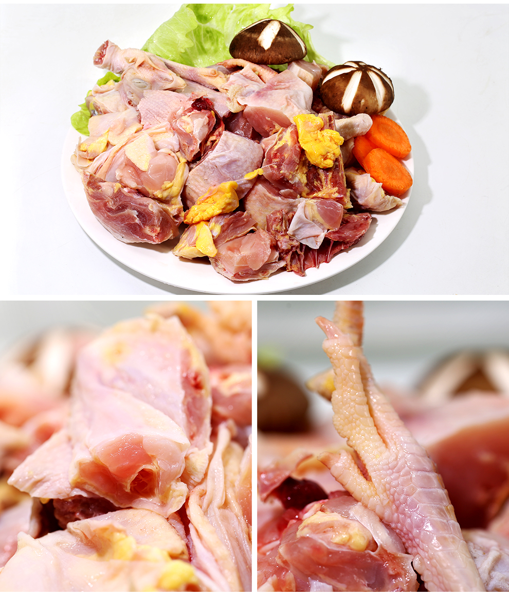 农家山楂树下散养土鸡粮食喂养老母鸡柴公鸡煲汤炖吃