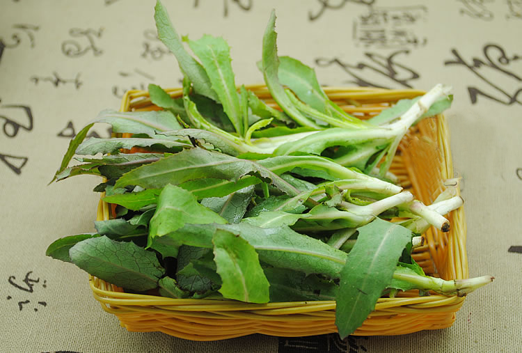 祖母绿顺丰航空野菜苦菜苦麻菜东北野山菜新鲜去跟菜2斤顺丰航空春节