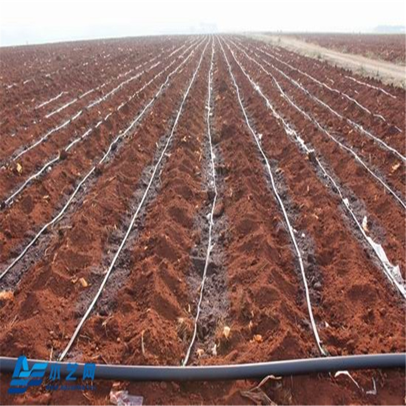 浩胜水管滴灌带喷灌水带微喷带塑料软管农用灌溉水带浇花水管浇水水管