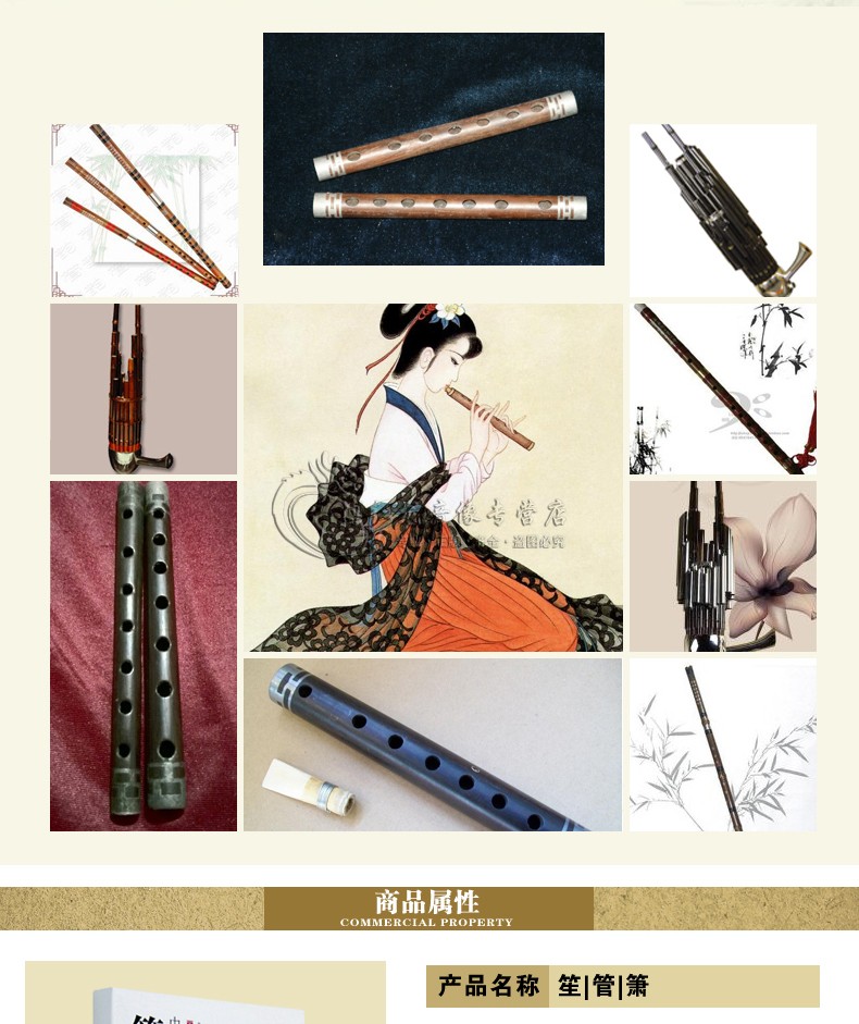 笙管萧中国民族乐器吹管乐器基础入门教材视频dvd教学光盘碟片