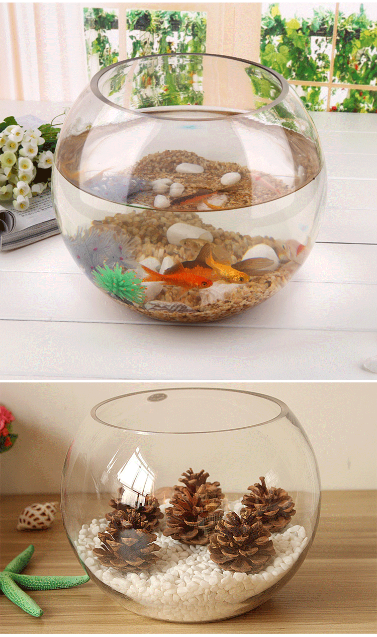 然锋 小型鱼缸透明圆形鱼缸小鱼缸 玻璃开放式创意家用金鱼缸 xxy