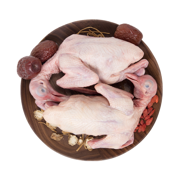 土记农家散养鸽子肉