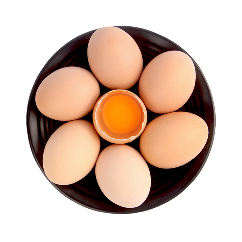 "散养土鸡蛋"搜索结果