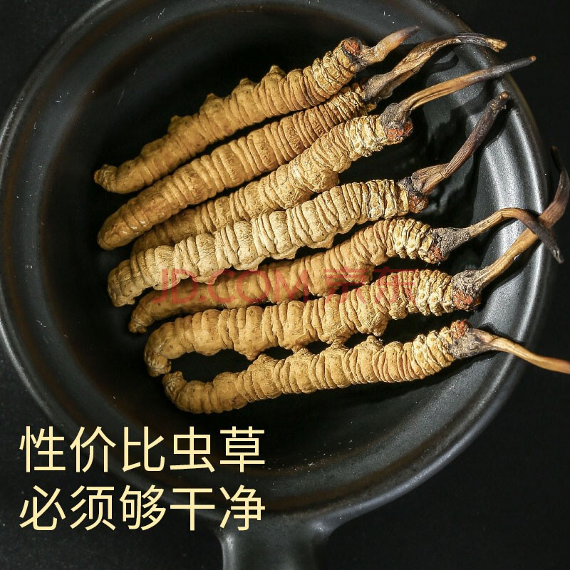 青源堂冬虫夏草3条g高品质无断草无竹签饱满高洁净冻干虫草20克家庭装