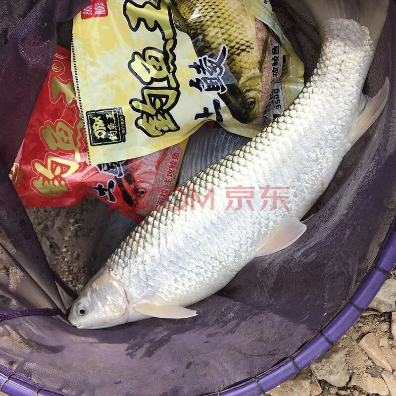 钓鱼王 土鲮鱼奶香疯钓鲫春夏季钓鲫鱼鲤鱼鲢鳙土鲮鱼饵料鱼饵野钓打